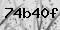 Captcha Text