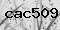 Captcha Text