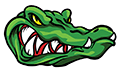 Dragon Image